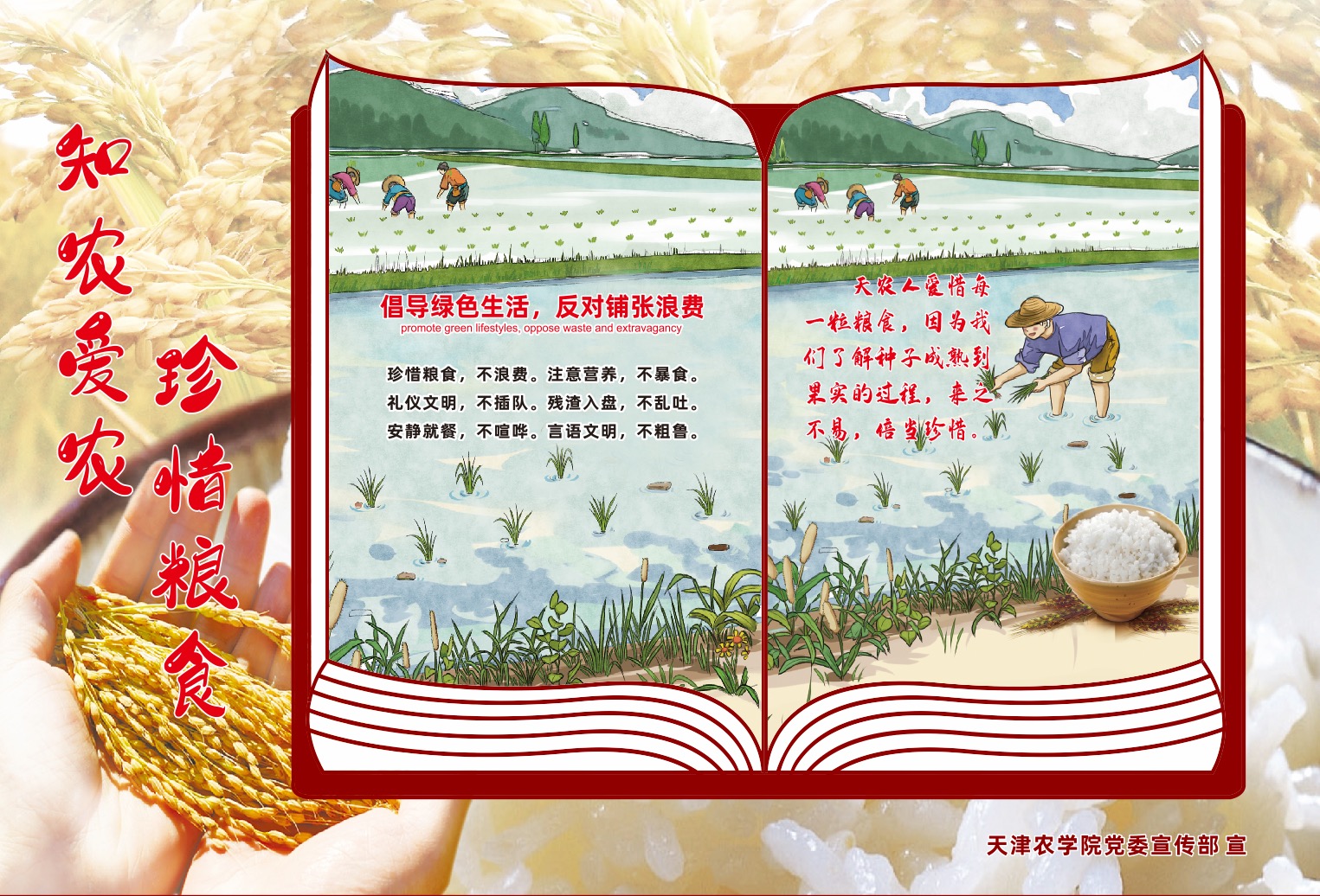 知农爱农 珍惜粮食